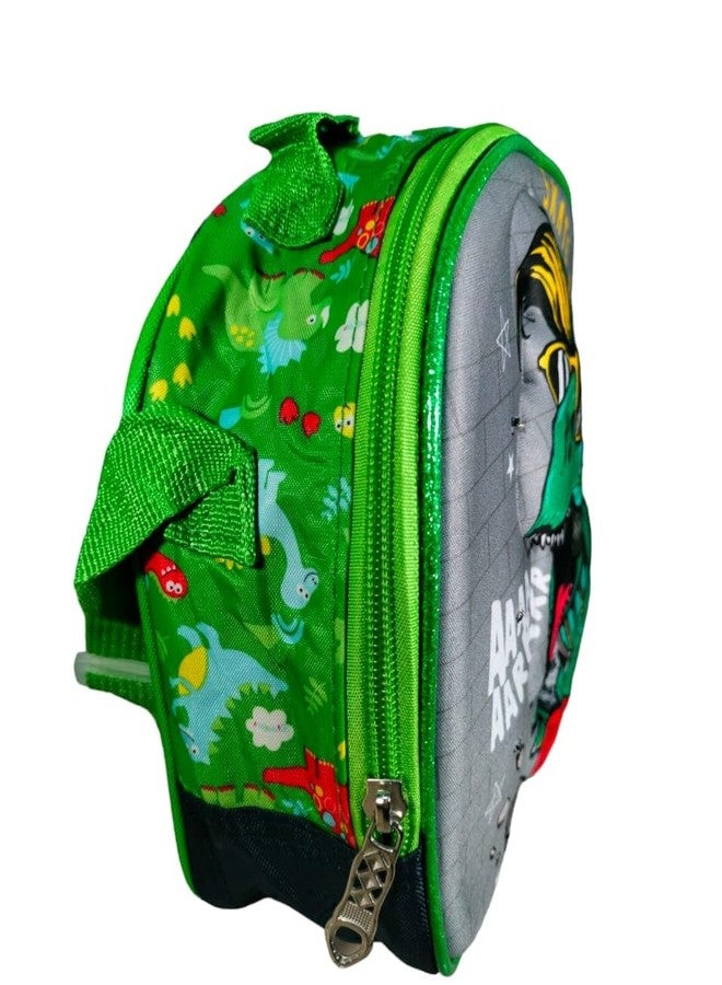 TEMSON Insulated Lunch Box Bag -Multipurpose Insulated Bag Hot & Cold Function Tiffin Hand Bag (GBT-5796) (Green) - Image 3